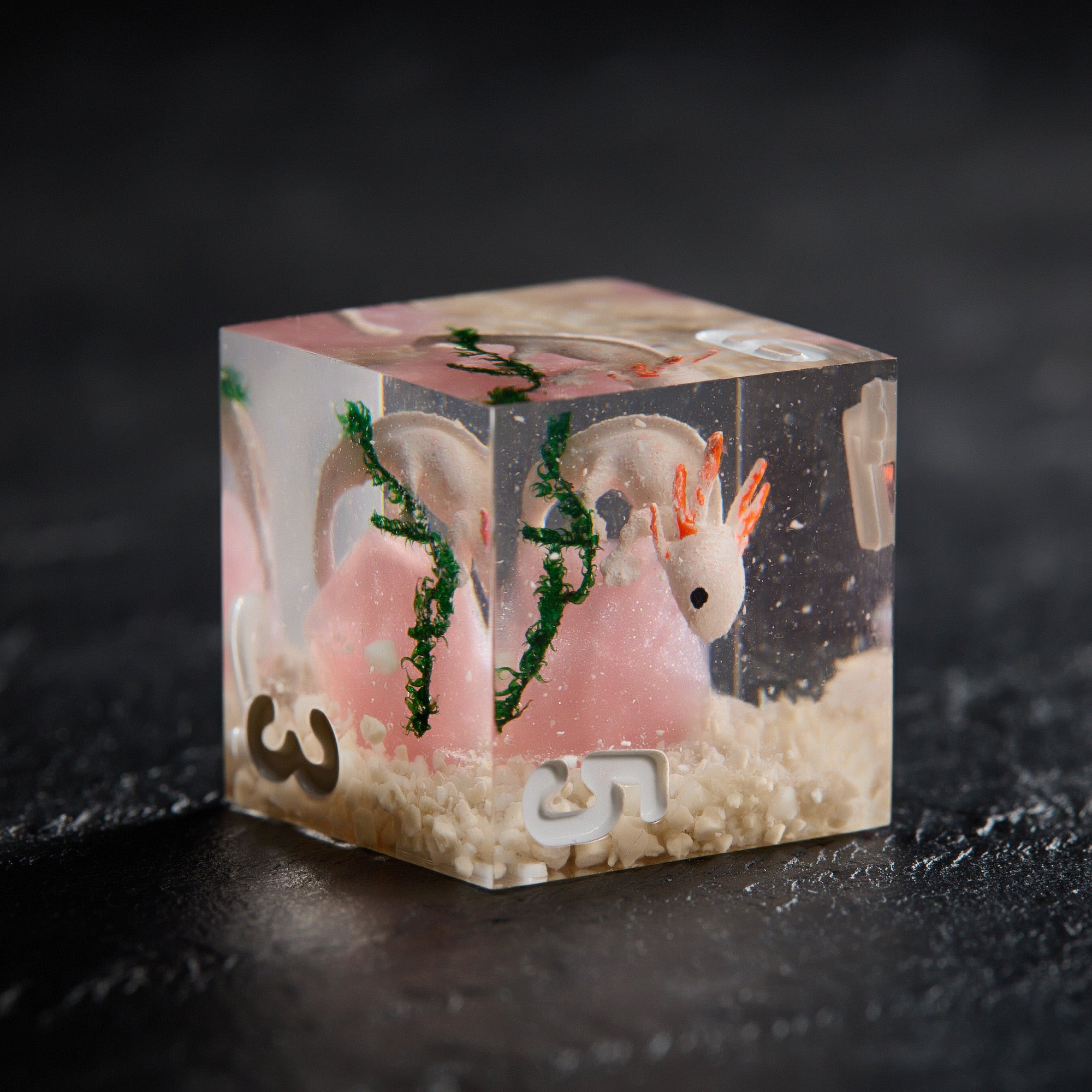 Axolotl Perched on Pink Dice - CrystalMaggie