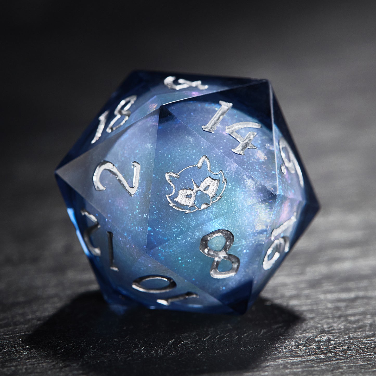 Dark Blue Liquid Core Resin Galaxy Dice Raccoon DnD D&D Dice Set