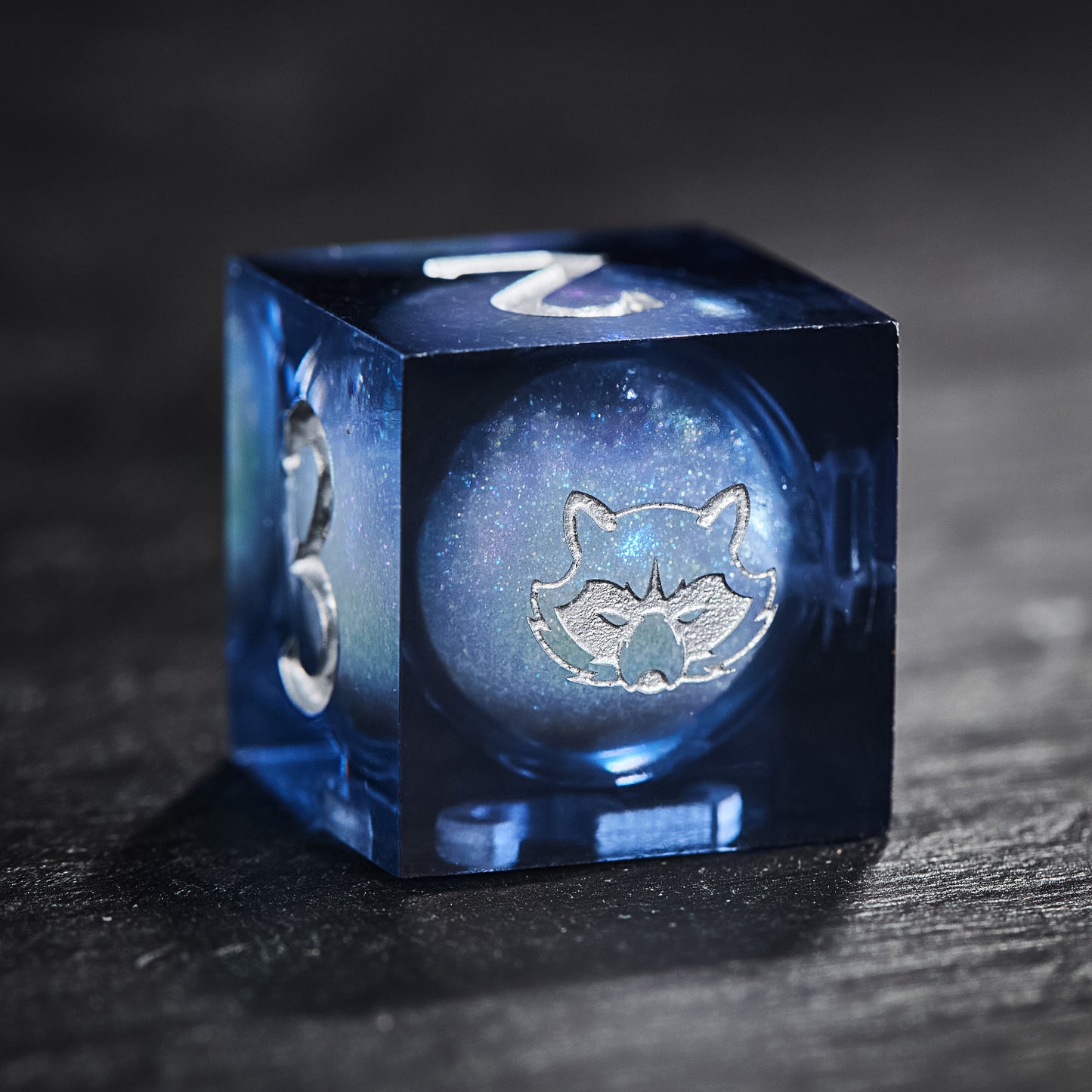 Dark Blue Liquid Core Resin Galaxy Dice Raccoon DnD D&D Dice Set